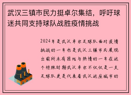 武汉三镇市民力挺卓尔集结，呼吁球迷共同支持球队战胜疫情挑战